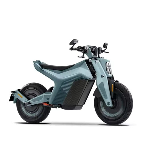 Electric Scooters