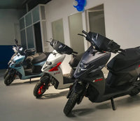 Simple One Electric Scooter